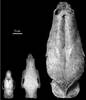20220625 p13 ciencia 3