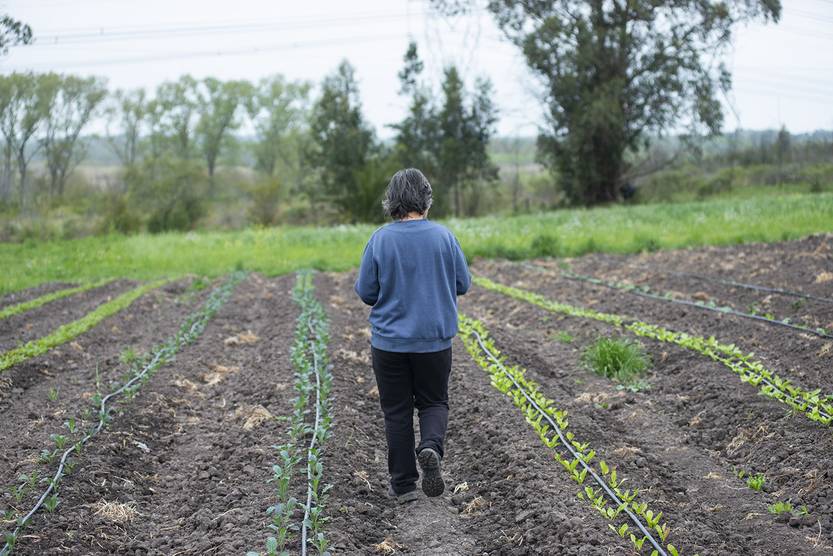 20250725 p13-15f2 cie