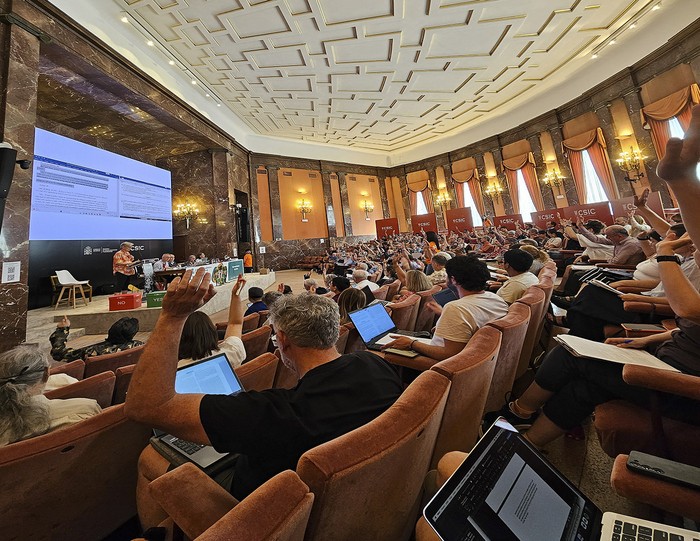 Votación durante la Sección de Nomenclatura. · Foto: Rocío Deanna