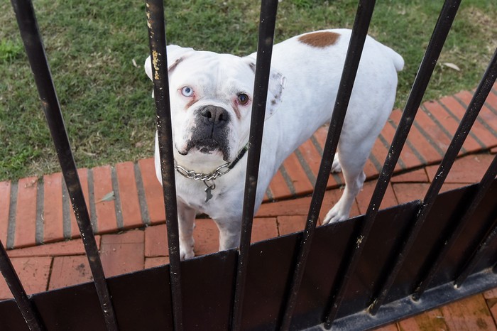 (archivo, junio de 2020) · Foto: Federico Gutiérrez