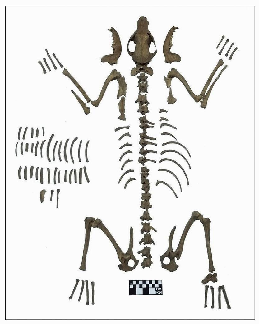 20250712 p13-15f4 cie