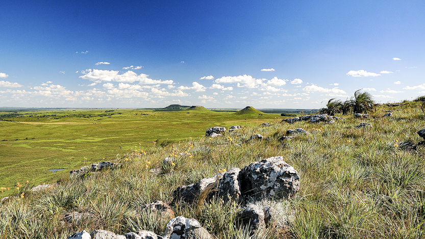 20251213 P13-15F2 CIE