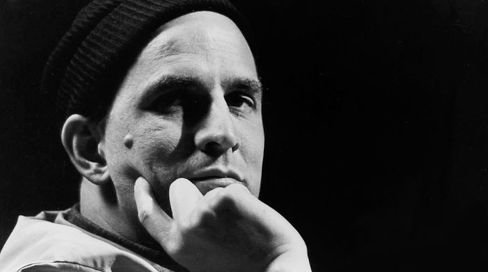 Descubriendo a Bergman.