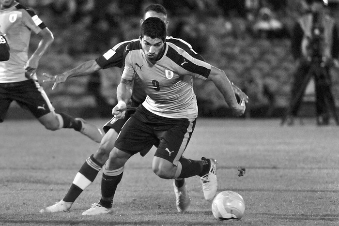 Luis Suárez durante el partido con Venezuela, el jueves, en el estadio Centenario. Foto: Federico Gutiérrez Luis Suárez durante el partido con Venezuela, el jueves, en el estadio Centenario. Foto: Federico Gutiérrez