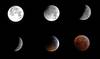La luna durante diferentes etapas del eclipse del 21 de enero de 2019.
· Foto: Jose Manuel Ribeiro La luna durante diferentes etapas del eclipse del 21 de enero de 2019.
· Foto: Jose Manuel Ribeiro