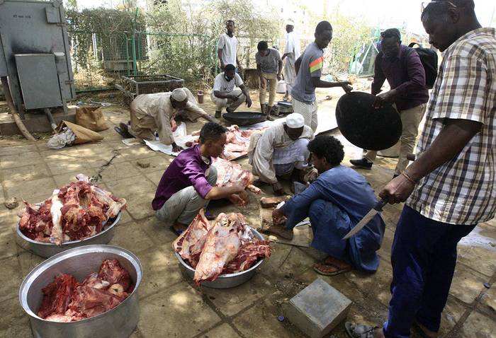 Manifestantes sudaneses carnean ovejas y vacas que sacrificaron ayer, mientras celebran el derrocamiento de Omar al-Bashir, y exigen en la transferencia de poder de los militares a un gobierno civil. 
 · Foto: Ebrahim Hamid, AFP