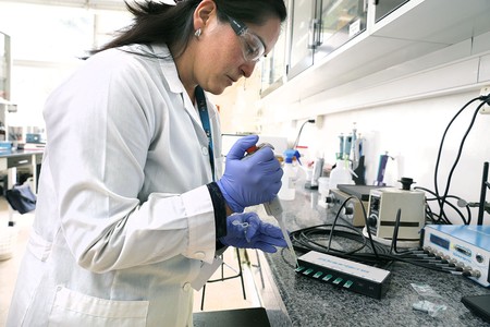 Laboratorio de Biotecnología, en el Parque Científico y Tecnológico de Pando (archivo, agosto de 2017).
· Foto: Pablo Nogueira Laboratorio de Biotecnología, en el Parque Científico y Tecnológico de Pando (archivo, agosto de 2017).
· Foto: Pablo Nogueira