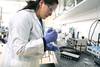Laboratorio de Biotecnología, en el Parque Científico y Tecnológico de Pando (archivo, agosto de 2017).
· Foto: Pablo Nogueira Laboratorio de Biotecnología, en el Parque Científico y Tecnológico de Pando (archivo, agosto de 2017).
· Foto: Pablo Nogueira