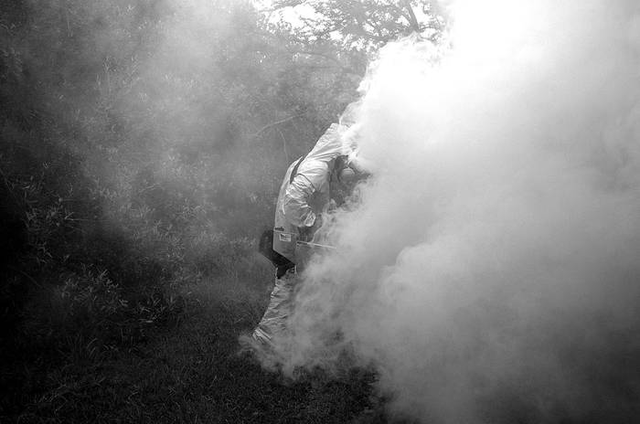 Trabajadores de la intendencia de Montevideo, durante una fumigación en el Jardín Botánico. (archivo, marzo de 2007) · Foto: Ricardo Antúnez
