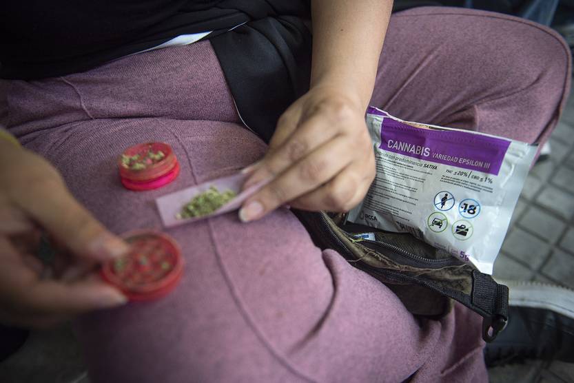 Efecto derrame marihuana Uruguay