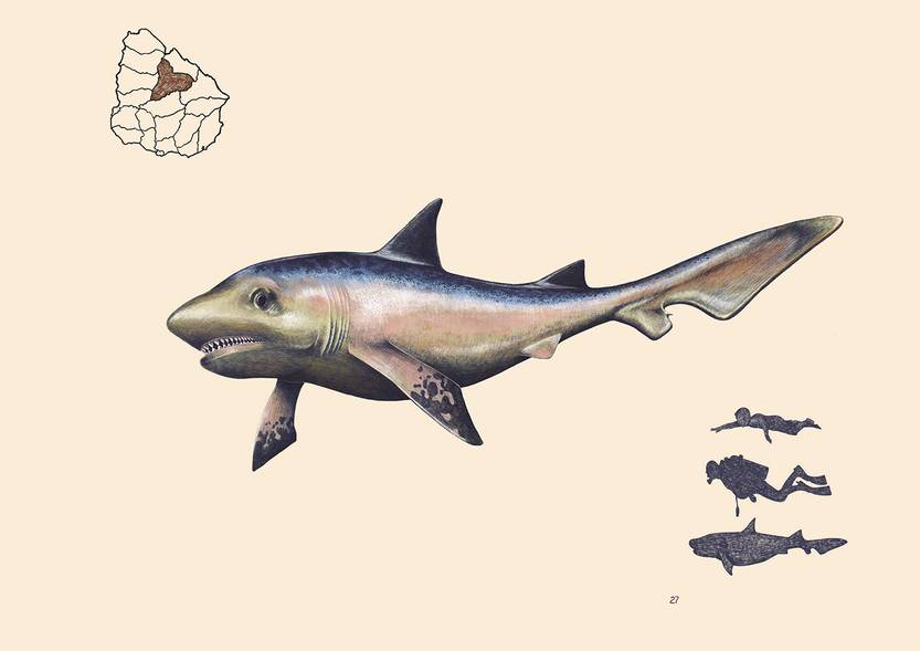 20251101 cie p14-15f3