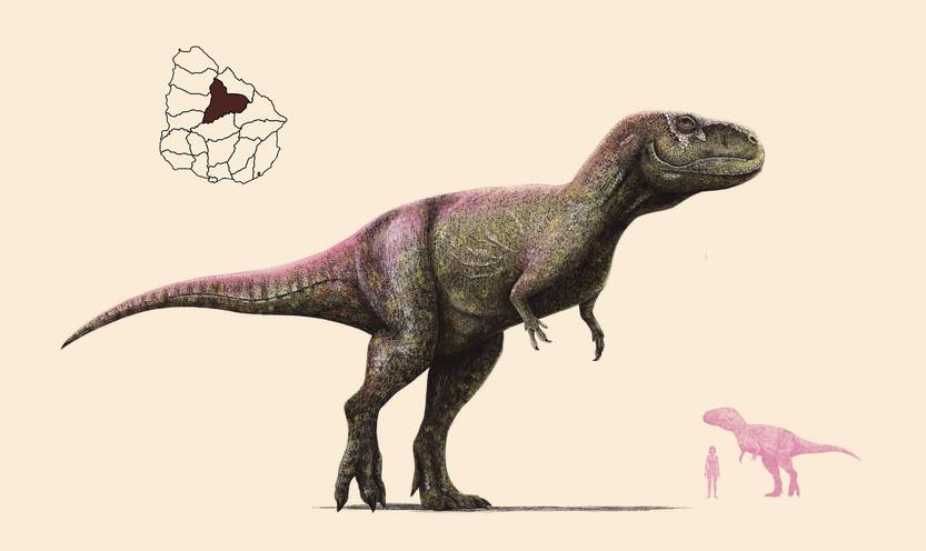 20251101 cie p14-15f5