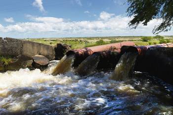 Sistema de riego de arroz, en Rocha. · Foto: Sandro Pereyra