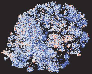 Mapa de genes. Foto: Thomas Stoeger, Northwestern University Mapa de genes. Foto: Thomas Stoeger, Northwestern University