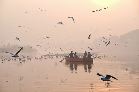 Mañana de alta contaminación del aire, ayer, en Nueva Delhi, India.
· Foto: Noemi Cassanelli Mañana de alta contaminación del aire, ayer, en Nueva Delhi, India.
· Foto: Noemi Cassanelli