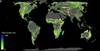 Tierra disponible para la restauración de árboles (excluyendo desiertos, áreas agrícolas y urbanas).
Foto: Eth Zurich, Crowther Lab
Tierra disponible para la restauración de árboles (excluyendo desiertos, áreas agrícolas y urbanas).
Foto: Eth Zurich, Crowther Lab