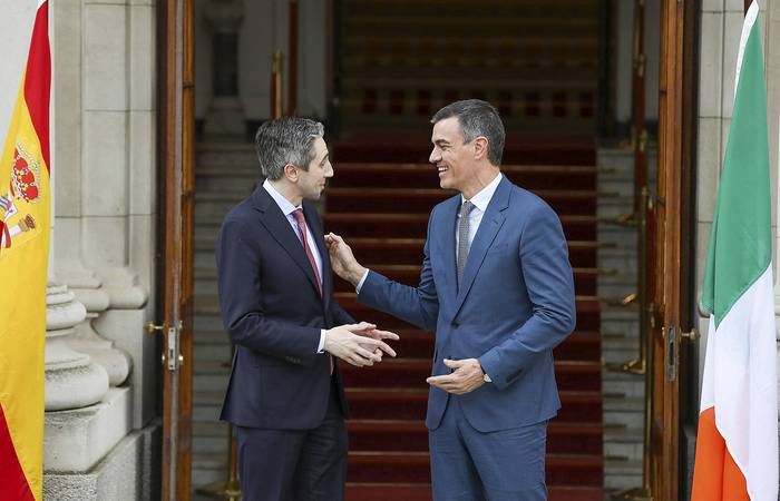 El primer ministro de Irlanda, Simon Harris y el presidente del gobierno español, Pedro Sánchez, al comienzo de su encuentro en Dublín. · Foto: Paul Faith, AFP