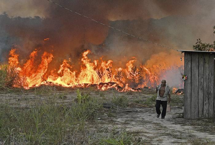 Incendios en el Amazonas, en el estado de Pará, Brasil. (archivo, agosto 2020) · Foto:  Carl De Souza