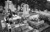 Cementerio Dolores, ayer, en Ciudad de México. Foto: Alfredo Estrella, AFP Cementerio Dolores, ayer, en Ciudad de México. Foto: Alfredo Estrella, AFP