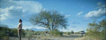 La novia del desierto. La novia del desierto.