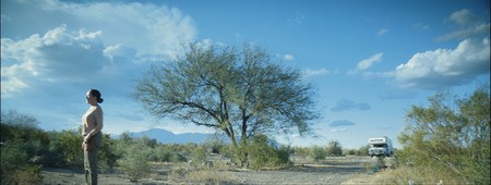 La novia del desierto. La novia del desierto.