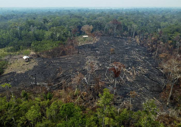 Quema ilegal de selva en Manaquirí, estado de Amazonas, el 6 de setiembre. Entre el 2 y el 6 el Instituto Nacional de Investigaciones Espaciales del Brasil registró 2.500 incendios forestales sólo en el estado de Amazonas. · Foto: Michael Dantas, AFP