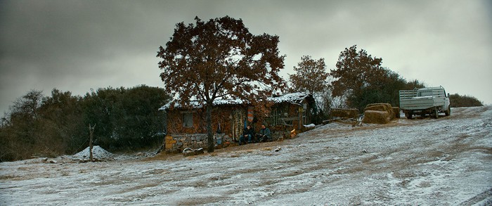 El árbol de las peras silvestres.