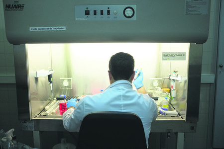 Departamento de Genética y Laboratorio y Cuarto de Cultivo, del Instituto Clemente Estable. Foto: Pablo Vignali (archivo, mayo de 2017) Departamento de Genética y Laboratorio y Cuarto de Cultivo, del Instituto Clemente Estable. Foto: Pablo Vignali (archivo, mayo de 2017)