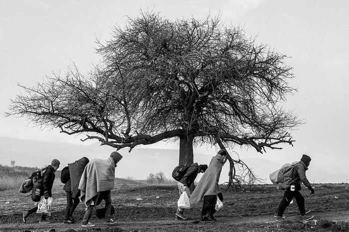 Refugiados después de cruzar a Serbia, ayer, por la frontera con Macedonia. Foto: Armend Nimani, Afp