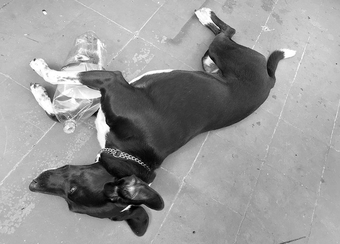 Foto: Iván Franco (archivo, febrero de 2017)