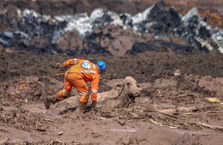 Intento de rescate de una vaca, en la comunidad de Casa Grande, cerca de la ciudad de Brumadinho, estado de Minas Gerais.
· Foto: Mauro Pimentel, AFP Intento de rescate de una vaca, en la comunidad de Casa Grande, cerca de la ciudad de Brumadinho, estado de Minas Gerais.
· Foto: Mauro Pimentel, AFP
