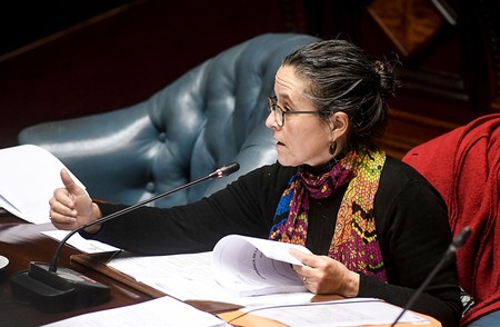 Patricia Ayala durante la discusión de la ley orgánica militar, ayer, en la cámara de Senadores. · Foto: Javier Calvelo, adhocFOTOS Patricia Ayala durante la discusión de la ley orgánica militar, ayer, en la cámara de Senadores. · Foto: Javier Calvelo, adhocFOTOS