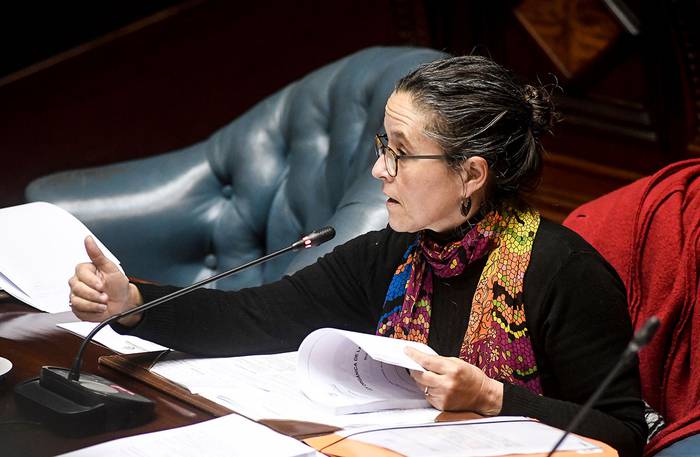 Patricia Ayala durante la discusión de la ley orgánica militar, ayer, en la cámara de Senadores. · Foto: Javier Calvelo, adhocFOTOS