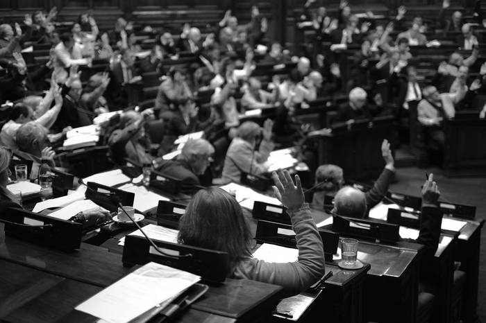 Sesión en la Cámara de Representantes. Foto: Pablo Vignali (archivo, agosto de 2016)