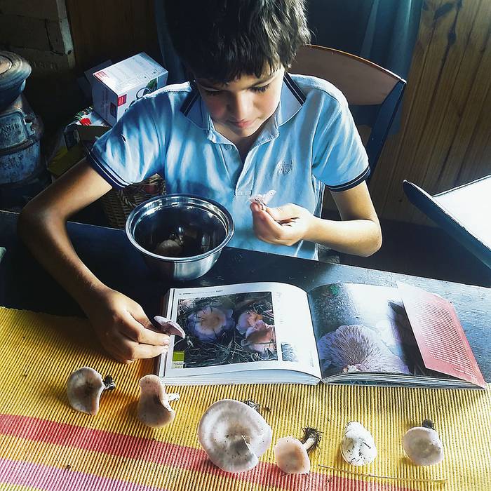 Tabaré Arcauz, reconoce hongos. · Foto: Laura Rosano