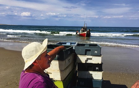 Playa de La Calavera, Cabo Polonio. · Foto: Iván Franco Playa de La Calavera, Cabo Polonio. · Foto: Iván Franco