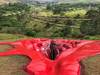 Museo al aire libre Usina de Arte, en Agua Preta, Pernambuco. · Foto: Juliana Notari/ afp Museo al aire libre Usina de Arte, en Agua Preta, Pernambuco. · Foto: Juliana Notari/ afp