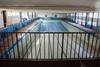 Piscina olímpica del club Neptuno. · Foto: Iván Franco Piscina olímpica del club Neptuno. · Foto: Iván Franco