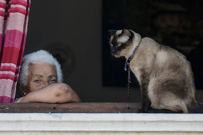 Foto principal del artículo 'Los gatos: una vida a los estirones' · Foto: Santiago Mazzarovich / adhocFOTOS