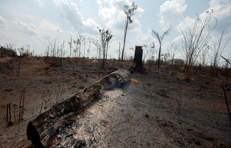 Una de las áreas destruidas por fuego en la selva amazónica, ayer, en el estado de Rondonia, Brasil.
· Foto: Joédson Alves, EFE Una de las áreas destruidas por fuego en la selva amazónica, ayer, en el estado de Rondonia, Brasil.
· Foto: Joédson Alves, EFE