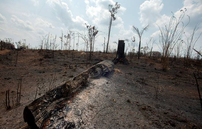 Una de las áreas destruidas por fuego en la selva amazónica, ayer, en el estado de Rondonia, Brasil. 

 · Foto: Joédson Alves, EFE
