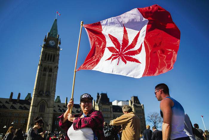 Celebración del Día Nacional de la Marihuana, el 20 de abril de 2016, en Parliament Hill, en Ottawa, Canadá.
 · Foto: Chris Roussakis
