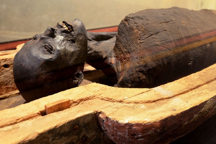 Momia de la sacerdotisa Eso-Eris en el Museo de Historia del Arte. Foto: Artigas Pessio, Intendencia de Montevideo