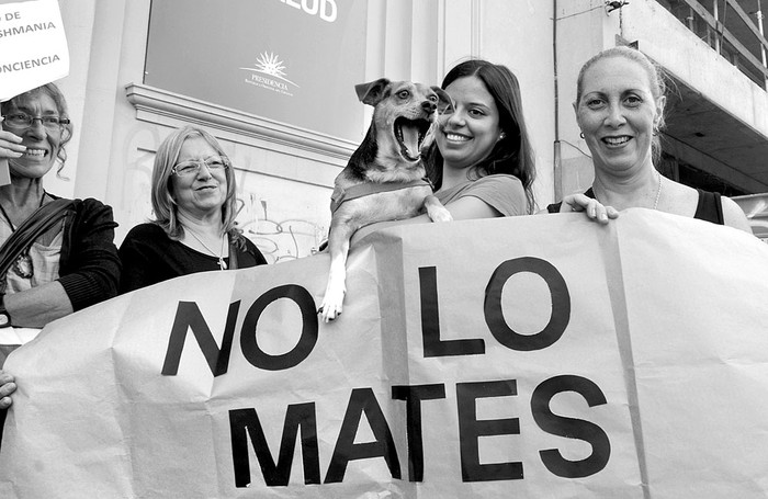 Concentración de animalistas, ayer en el Ministerio de Salud Pública. Foto: Alessandro Maradei