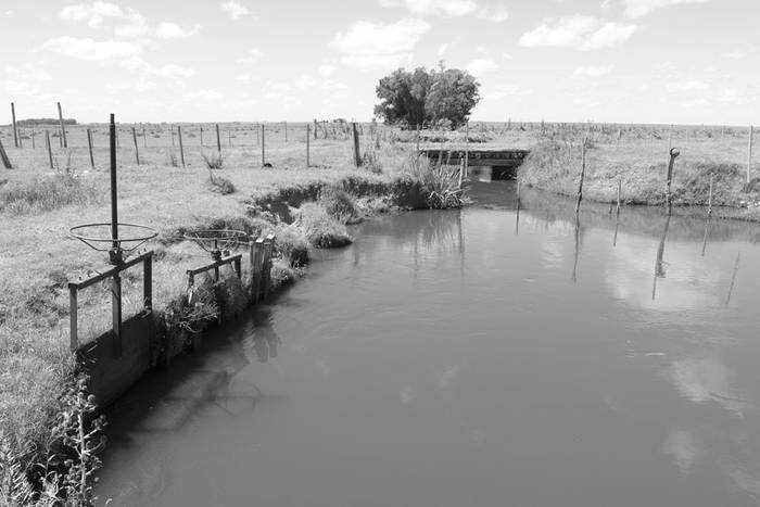 Canal de salida del agua tomada por la bomba “De los Gómez” en el río Cebollatí, próximo a Paso del Gringo, Rocha. Foto: Sandro Pereyra