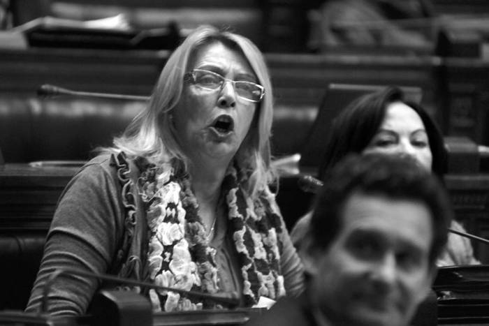 Graciela Matiaude en la Cámara de Diputados.  (archivo, junio de 2012) · Foto: Sandro Pereyra