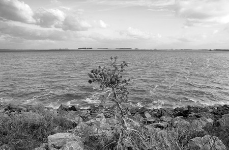 Represa de India Muerta, en el departamento de Rocha. (archivo, julio de 2012 · Foto: Sandro Pereyra Represa de India Muerta, en el departamento de Rocha. (archivo, julio de 2012 · Foto: Sandro Pereyra