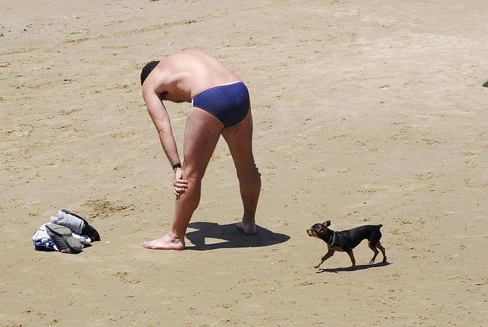 Foto principal del artículo '¿Cómo cuidar a perros y gatos de la exposición del sol?' · Foto: Andrés Cuenca