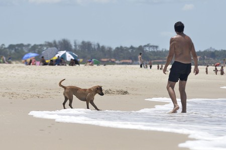 Playa de Parque del Plata (archivo, enero de 2014). · Foto: Santiago Mazzarovich Playa de Parque del Plata (archivo, enero de 2014). · Foto: Santiago Mazzarovich