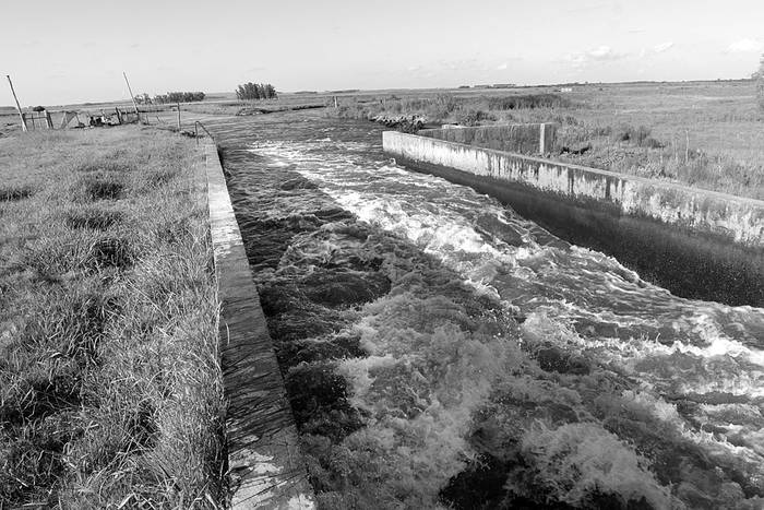 Salida de agua de la represa de India Muerta, en Rocha. Foto: Sandro Pereyra (archivo, enero de 2017)